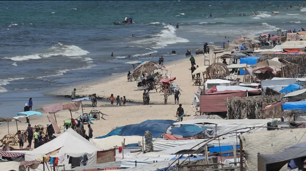 From aspiration to dislocation: Gaza’s seaport shelters displaced amid war