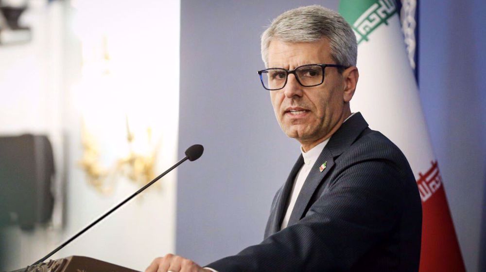 FM spox condemns Israel’s ‘most brutal aggression’, shares stories of civilian victims