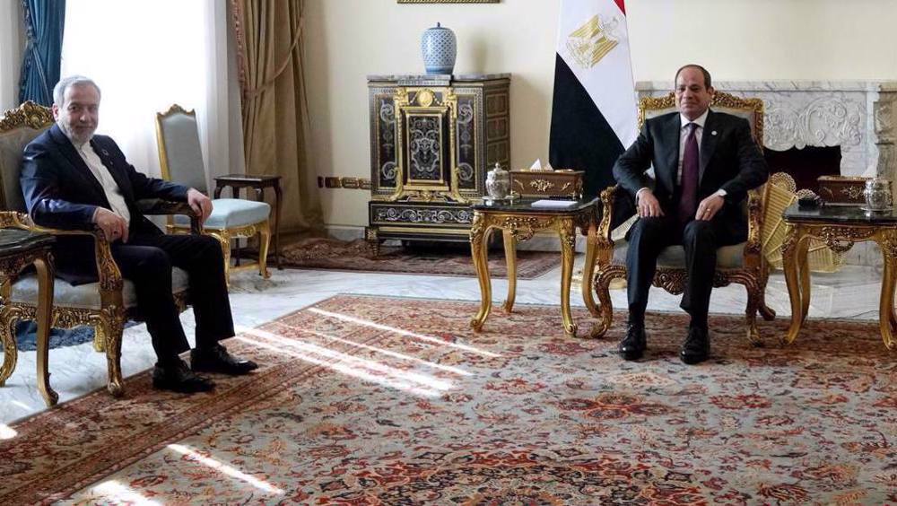 Depuis Le Caire, Araghchi appelle à une action collective du monde musulman contre Tel-Aviv