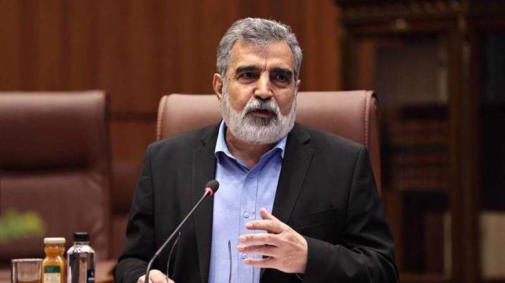 Iran’s nuclear industry too deep-rooted to be uprooted through aggression: AEOI