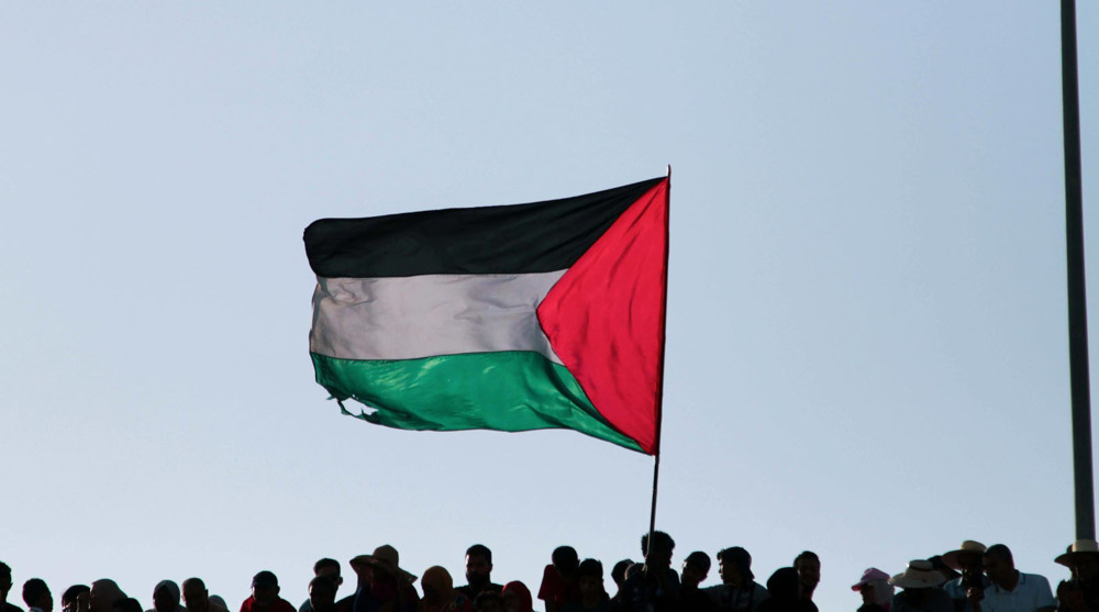 L'Assemblée de Corse reconnaît l’État de Palestine 