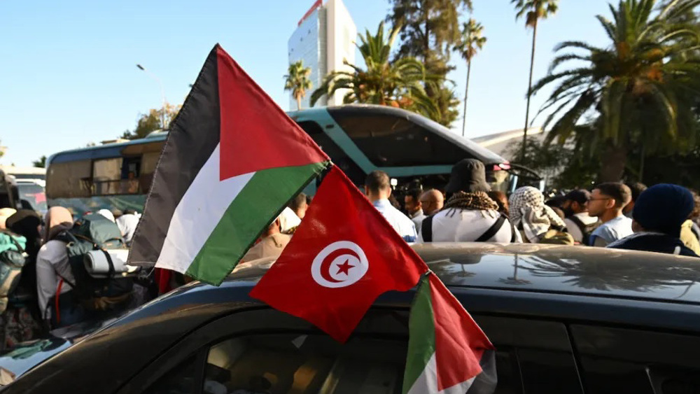 International coalition sets off to Rafah crossing as Israeli forces storm Gaza-bound aid ship