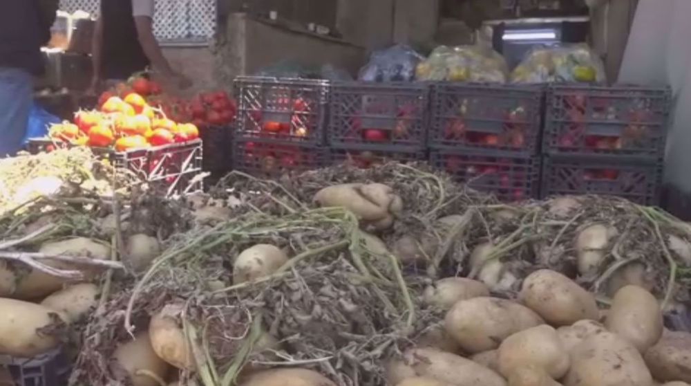 Palestinian farmers face hardships due to Israeli restrictions, confiscation of land