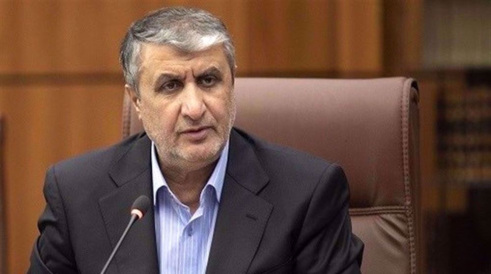 Attacks on Iran’s nuclear facilities exposed ‘law of jungle’: Atomic chief