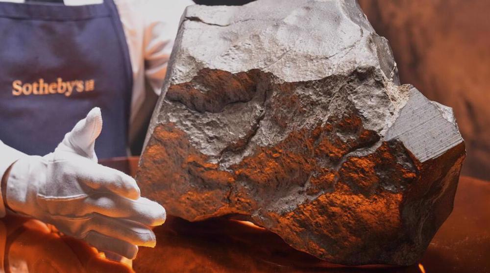 Vente de la plus grosse météorite martienne aux États-Unis ; le Niger ouvre une enquête