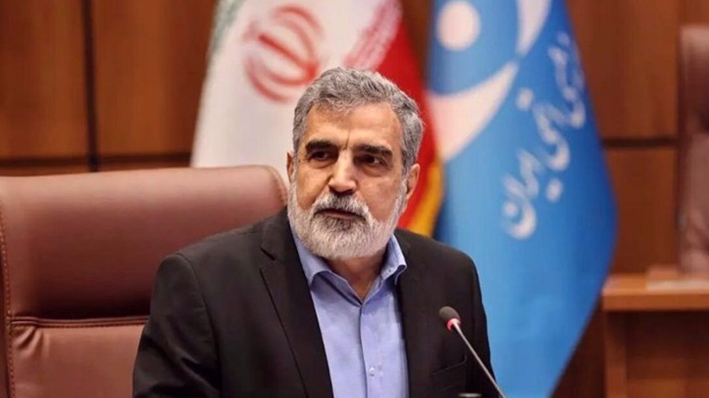 Le nucléaire iranien se nourrit de ses racines et est prêt à rebondir (OIEA)