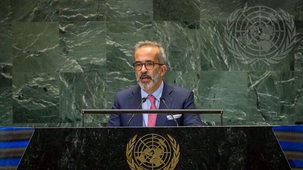 Portugal open to recognizing Palestinian state: FM