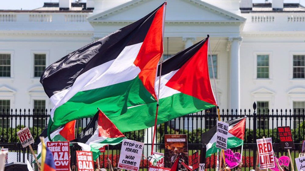 Manifestation devant la Maison Blanche contre le blocus et la famine à Gaza