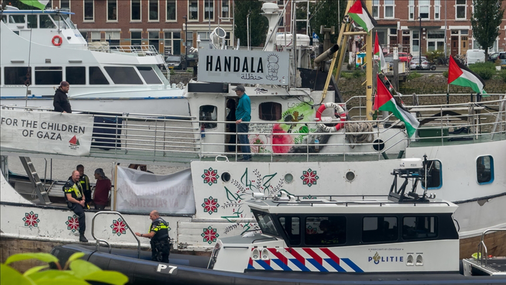 Detained activists launch hunger strike after Israeli attack on aid ship Handala 