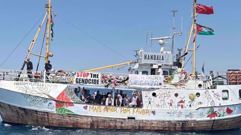 Handala attaqué: les militants détenus entament une grève de la faim 