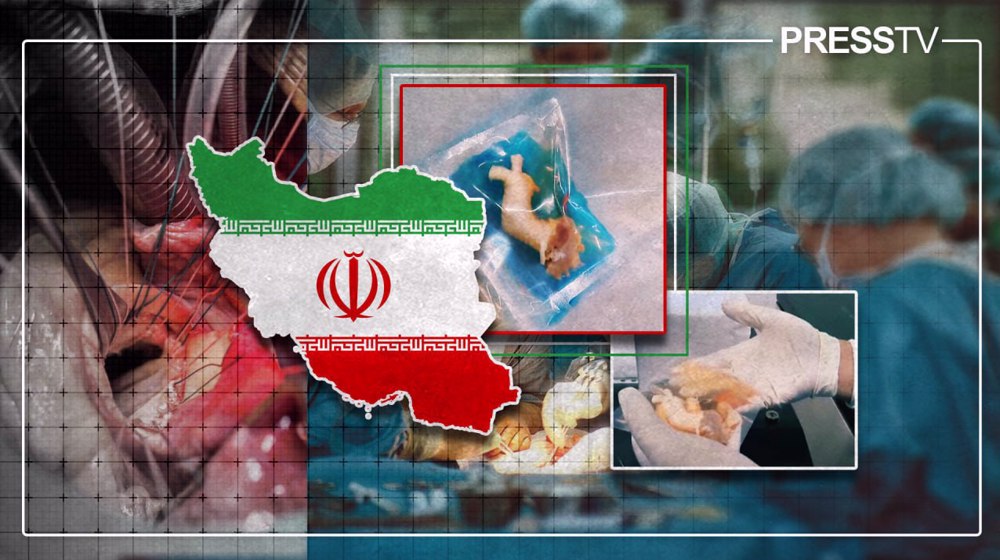 Explainer: How Iranian-made human-tissue heart valves are reshaping global healthcare