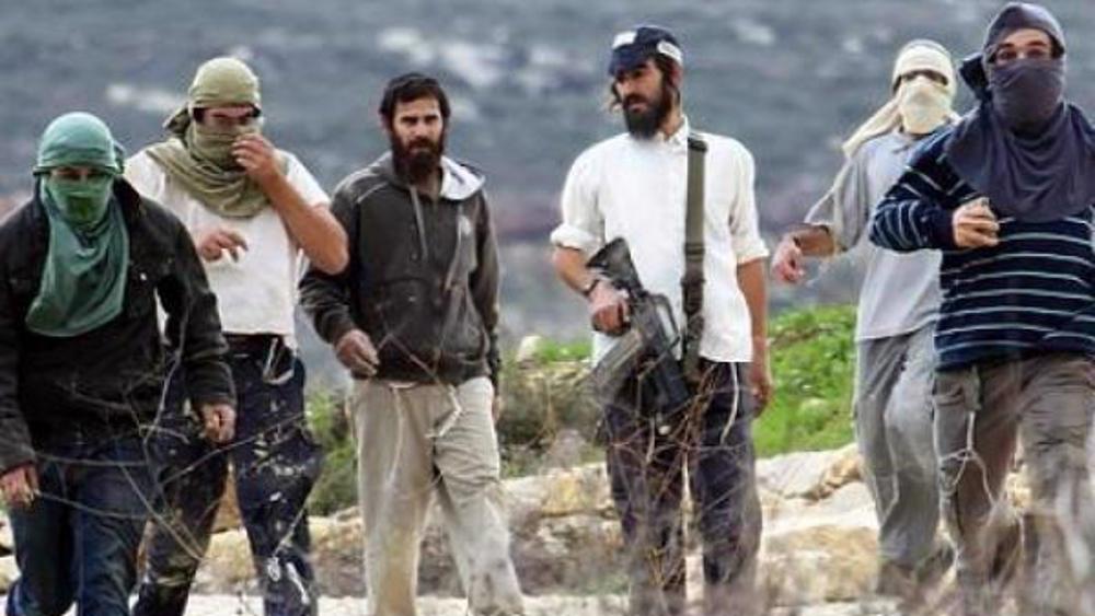 New report reveals scale of settler attacks in West Bank