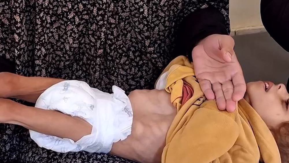 Des économistes exhortent Israël à mettre un terme à la famine à Gaza