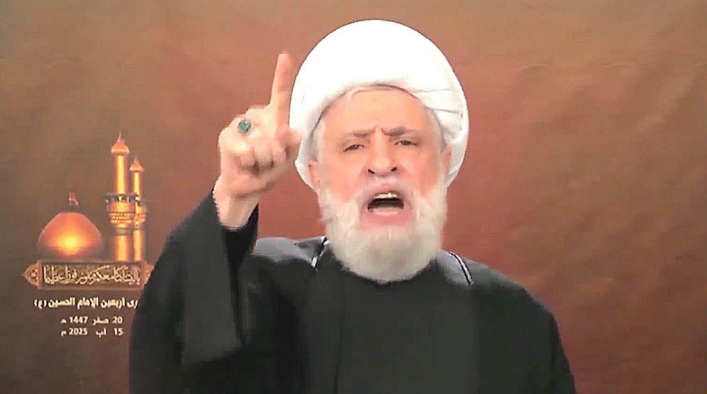 Hezbollah leader: Resistance will never give up arms