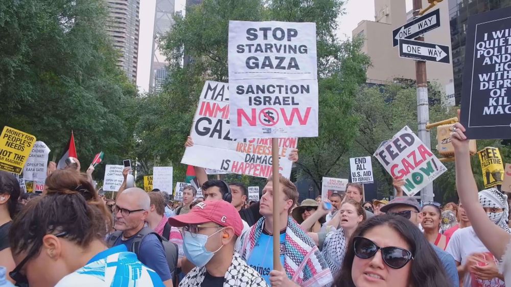 Social media influence on Palestine protests in NY
