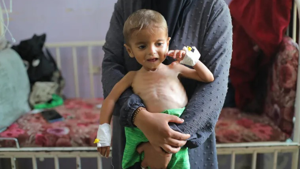 UN declares full-blown famine in Gaza; up to 800,000 Palestinians at risk
