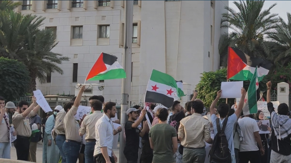 Damascus protest calls for end to Gaza starvation, siege