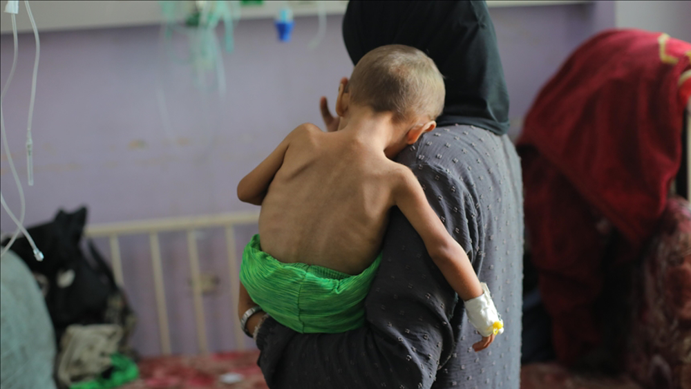 Over 200 EU diplomats launch appeal for urgent action against Israel 