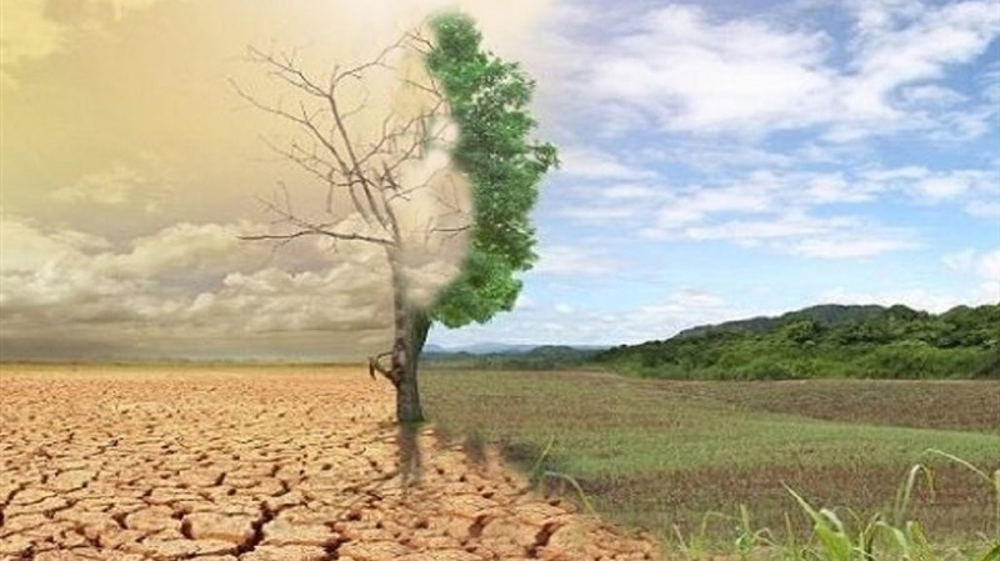 Iran’s bold vision to transform deserts into fertile lands