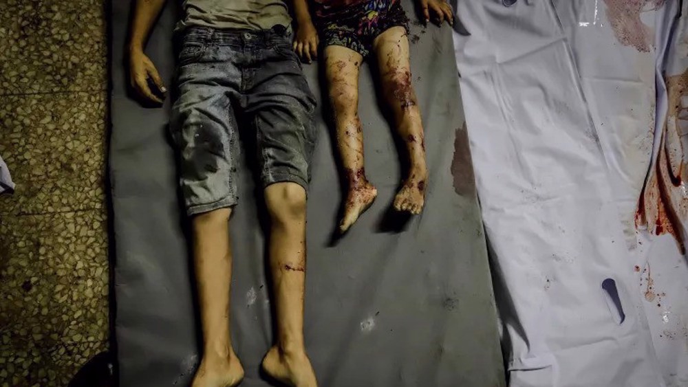 Foreign ministers of 6 European states condemn Israel's new Gaza offensive