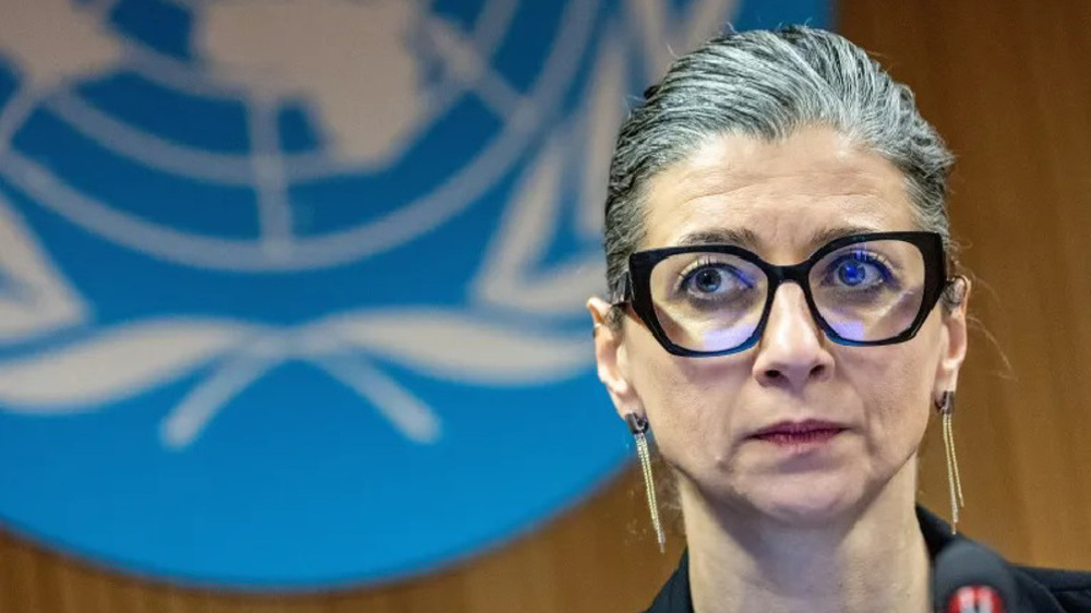 UN rapporteur voices support for Gaza flotilla, calls activists ‘moral warriors’