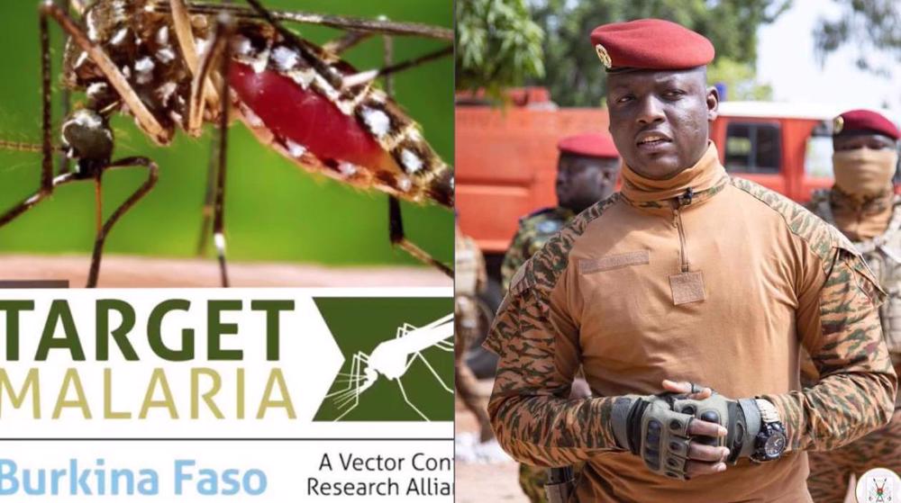 Burkina Faso : fin au projet Target Malaria, un signal fort pour la souveraineté africaine