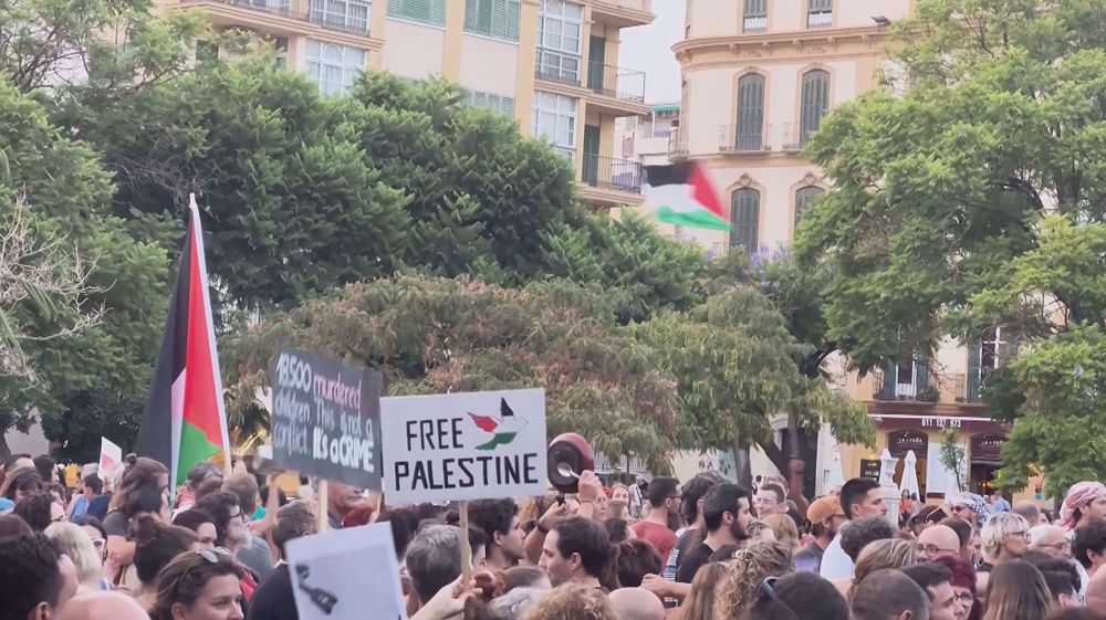 Pro-Palestine protesters in Málaga demand end to Gaza genocide