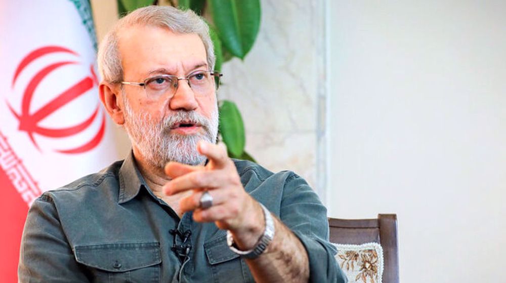 Muslim countries must act decisively to counter Israel’s ‘madness’: Iran’s security chief