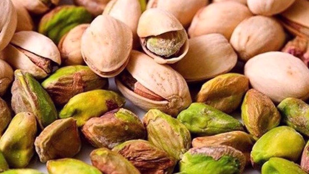 Iran expects bumper pistachio crop this year