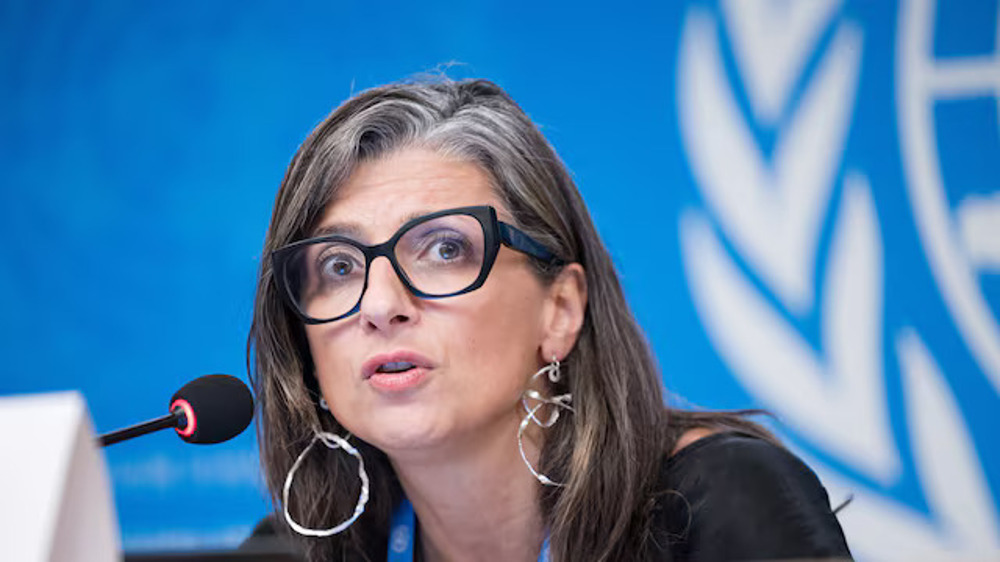  Israel planning mass 'ethnic cleansing' of Palestinians, says UN expert Francesca Albanese 