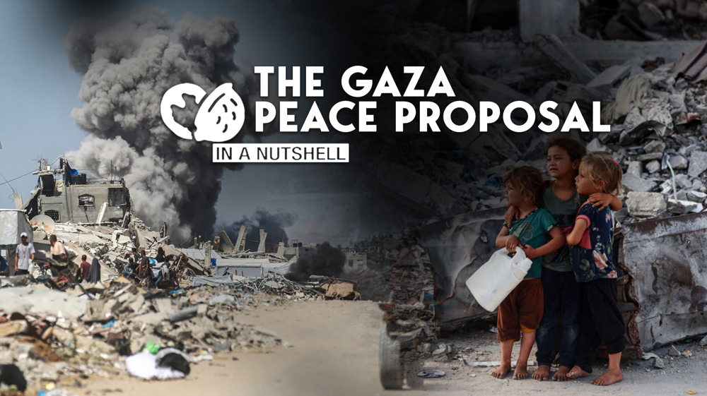The Gaza peace proposal