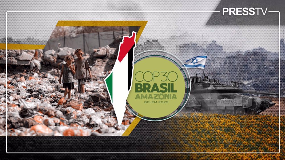 Systemic ecocide: Israel’s 2-year war devastates Gaza’s environment, sparking global action