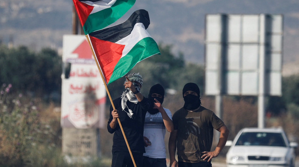 Palestinian FM urges more nations to recognize statehood