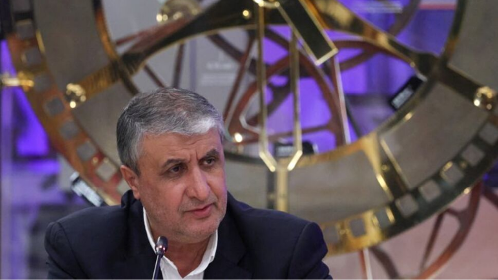 Iran : lancement prochain d'une centrale nucléaire de 5 000 MW à Hormozgan