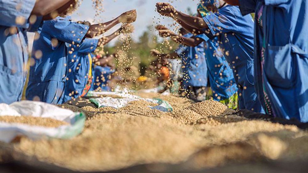 « L’Afrique peut nourrir le monde entier »