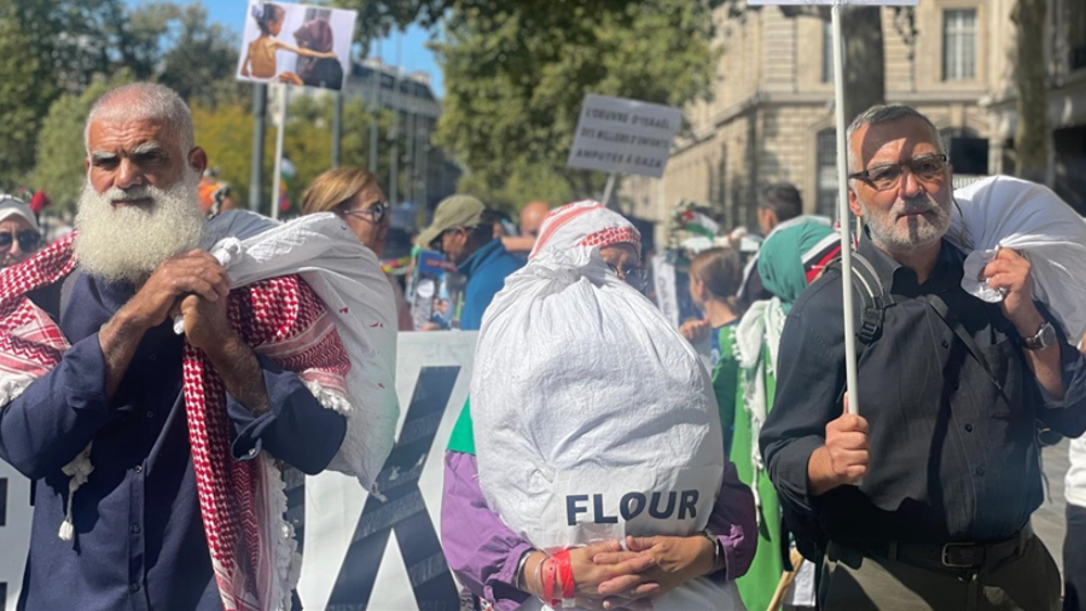 Les Français protestent contre le génocide palestinien à Gaza 