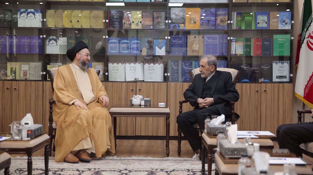 Iraq’s independence, stability crucial to Iran: Leader’s aide