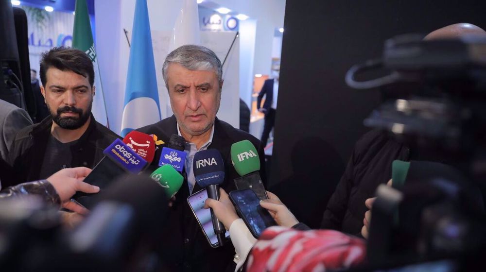 Iran's nuclear chief urges Grossi to stick to his IAEA mandate after NPT jab 