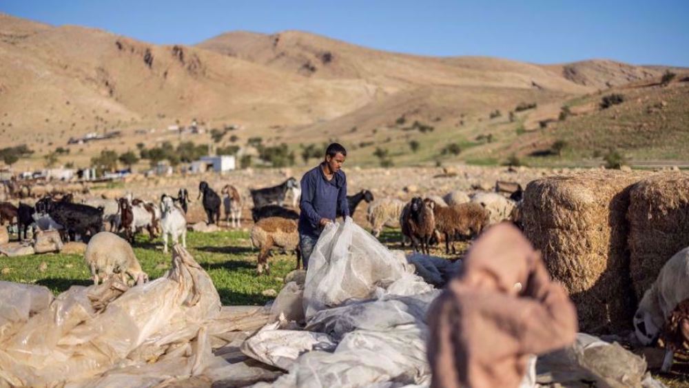 Bedouin village in West Bank fully emptied due to Israeli settler violence
