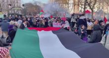Massive pro-Palestine rally in Paris calls for sanctions on Israel