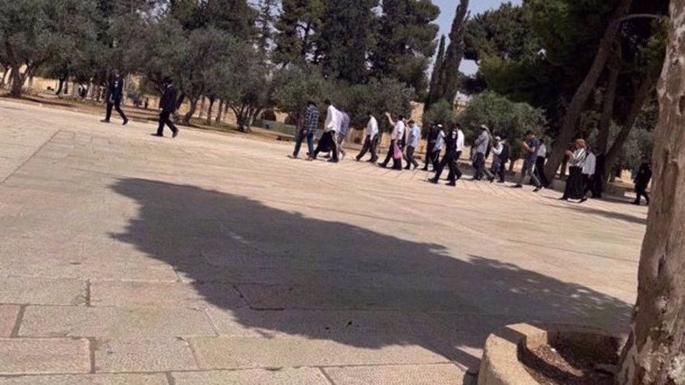 Jordan condemns Israeli incursions at Al-Aqsa Mosque as 'flagrant violation'