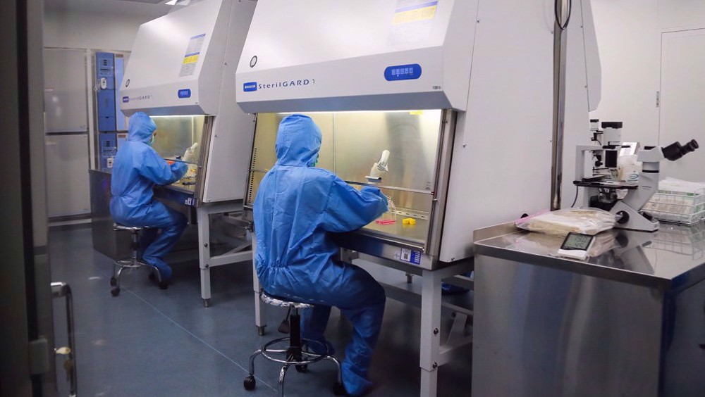 L’Iran produits désormais 110 produits de thérapie cellulaire innovante