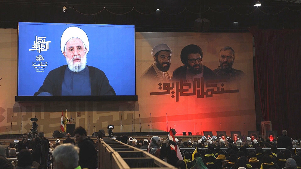 Hezbollah says prepared to defend Lebanon, does not seek war