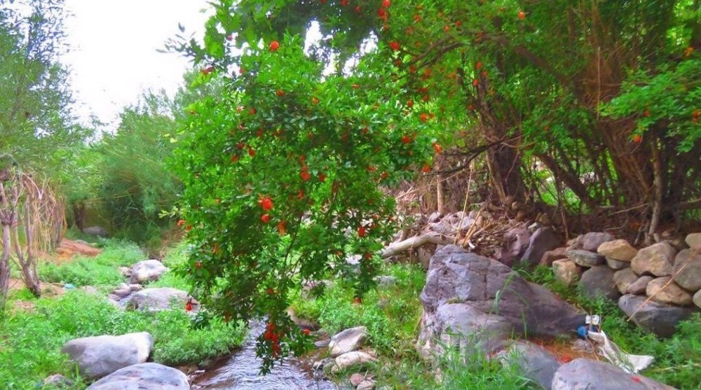 Découvrir l'Iran : le village de Ladiz dans la province du Sistan-et-Baloutchistan