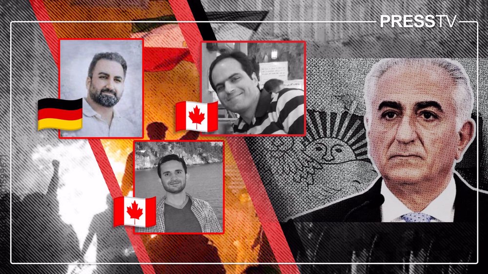 Back to SAVAK days: Pahlavi monarchist violence surges against diaspora opponents 