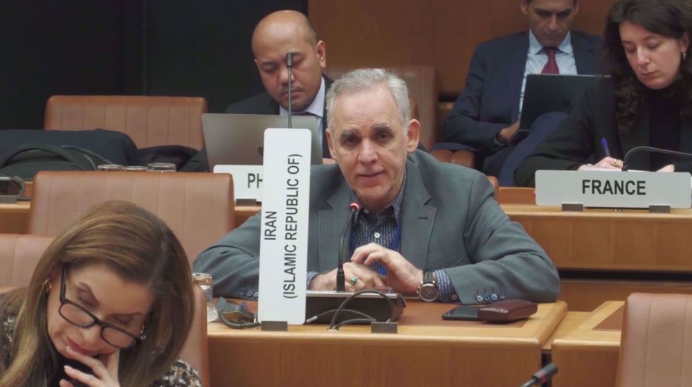 Friends of Palestine meet at UN in Vienna