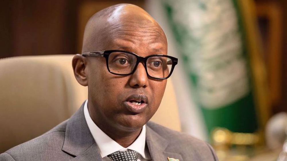 Somaliland ready to give US access to its minerals, military bases: Minister
