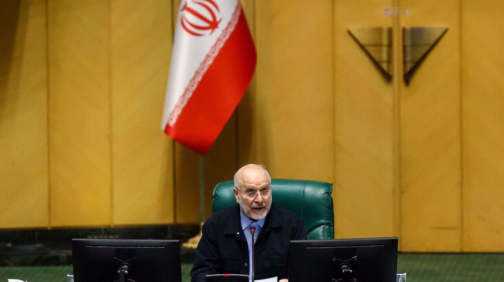 Iran advancing diplomacy and defense in parallel: Parliament speaker