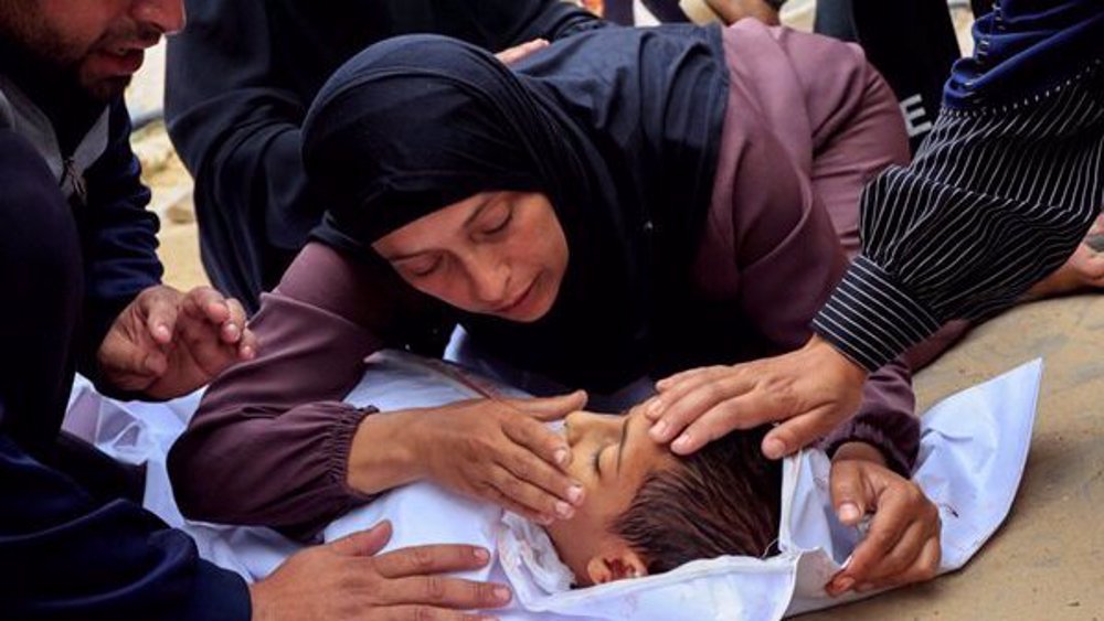 Iceland, Netherlands join South Africa’s ICJ case against Israeli genocide