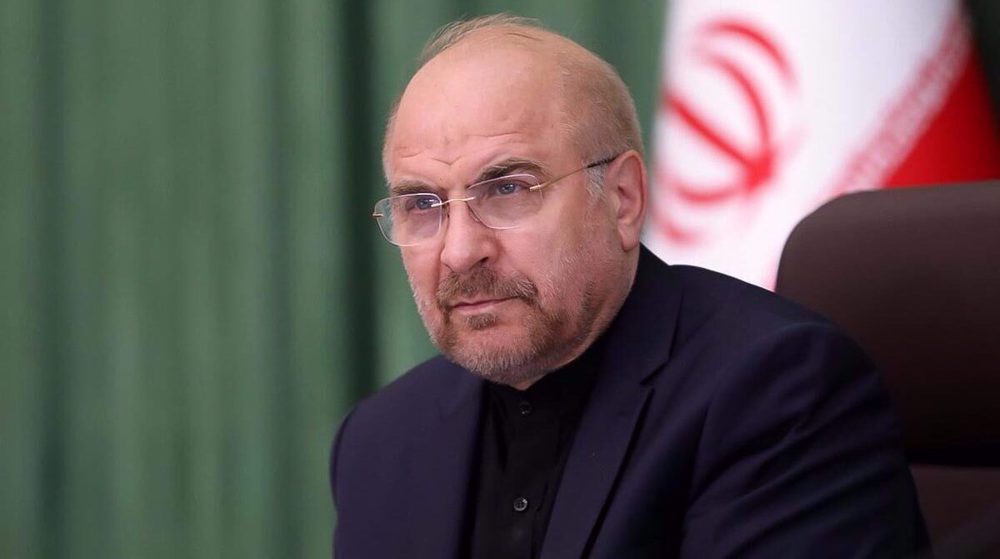 We avenge the innocent until our last breath: Iran's parl. speaker